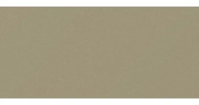 Сайдинг CEDRAL smooth (гладкий) С03