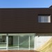 Фасадная панель из ДПК WOODVEX Венге купить в Балашове