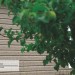 Сайдинг Ю-Пласт TIMBERBLOCK Пихта (Тимберблок) Cахалинская купить в Балашове