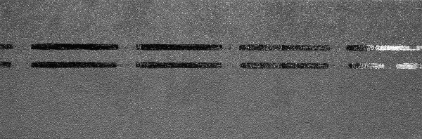 Коньково-карнизная черепица Docke Premium, черника купить в Балашове