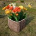 Цветник КАНЬОН купить в Балашове